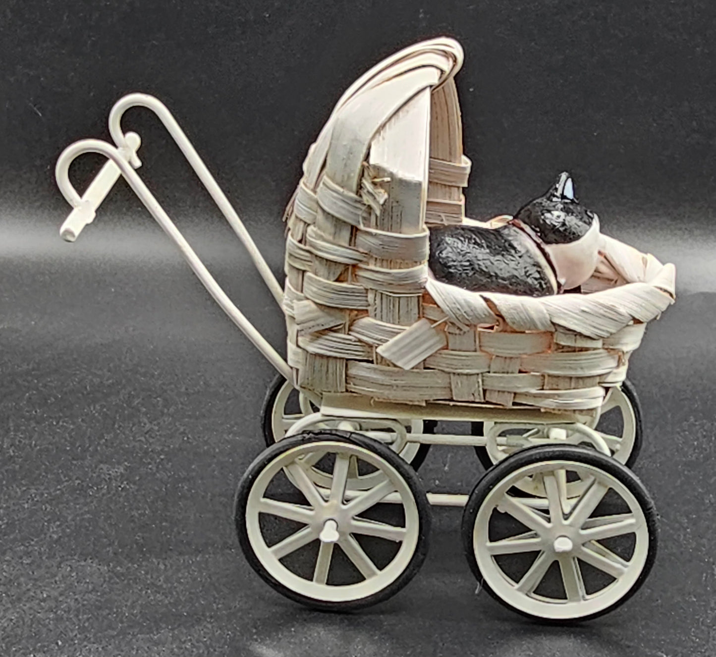 Cats in Carriages