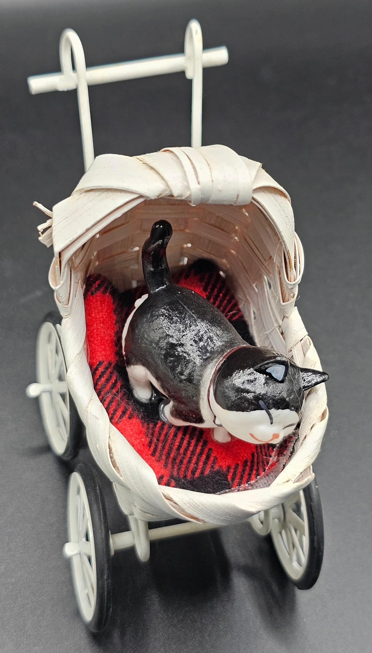 Cats in Carriages