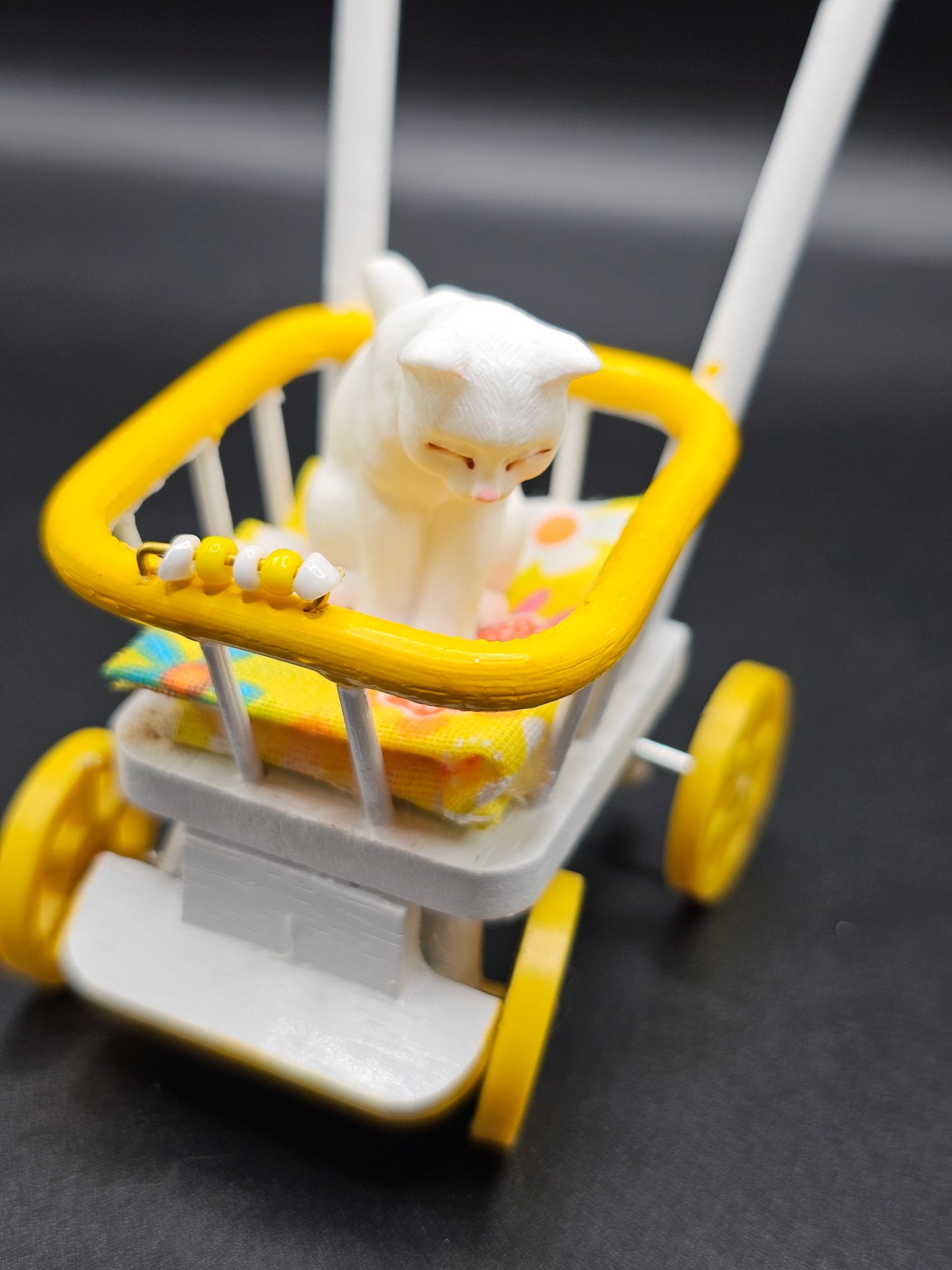 Cats in Carriages