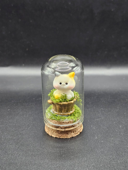 Kitty in a Jar