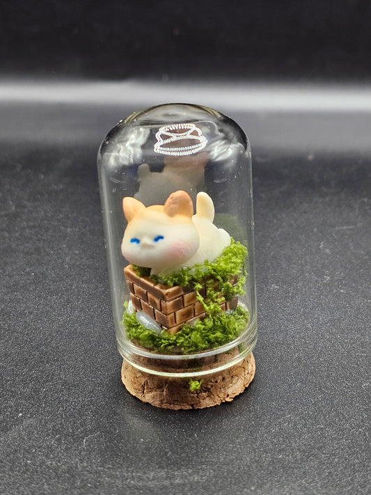 Kitty in a Jar