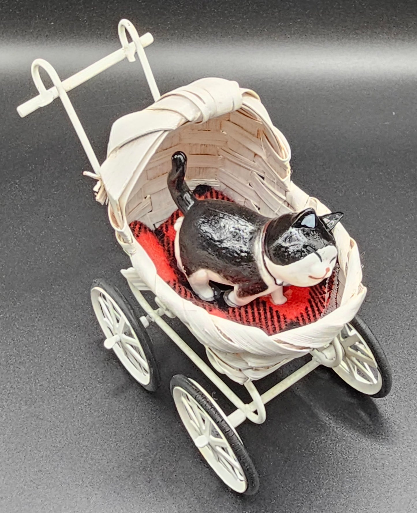 Cats in Carriages