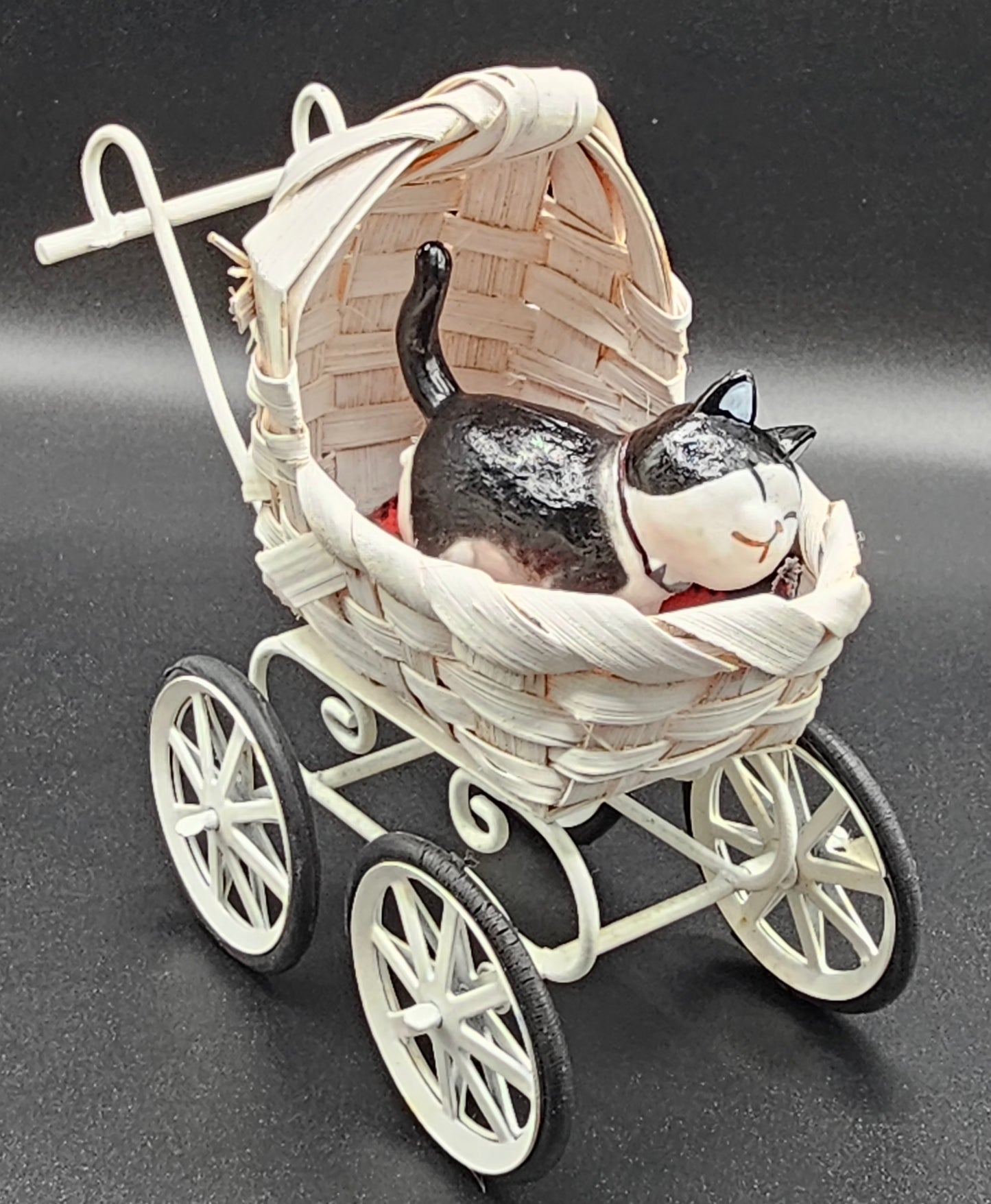 Cats in Carriages
