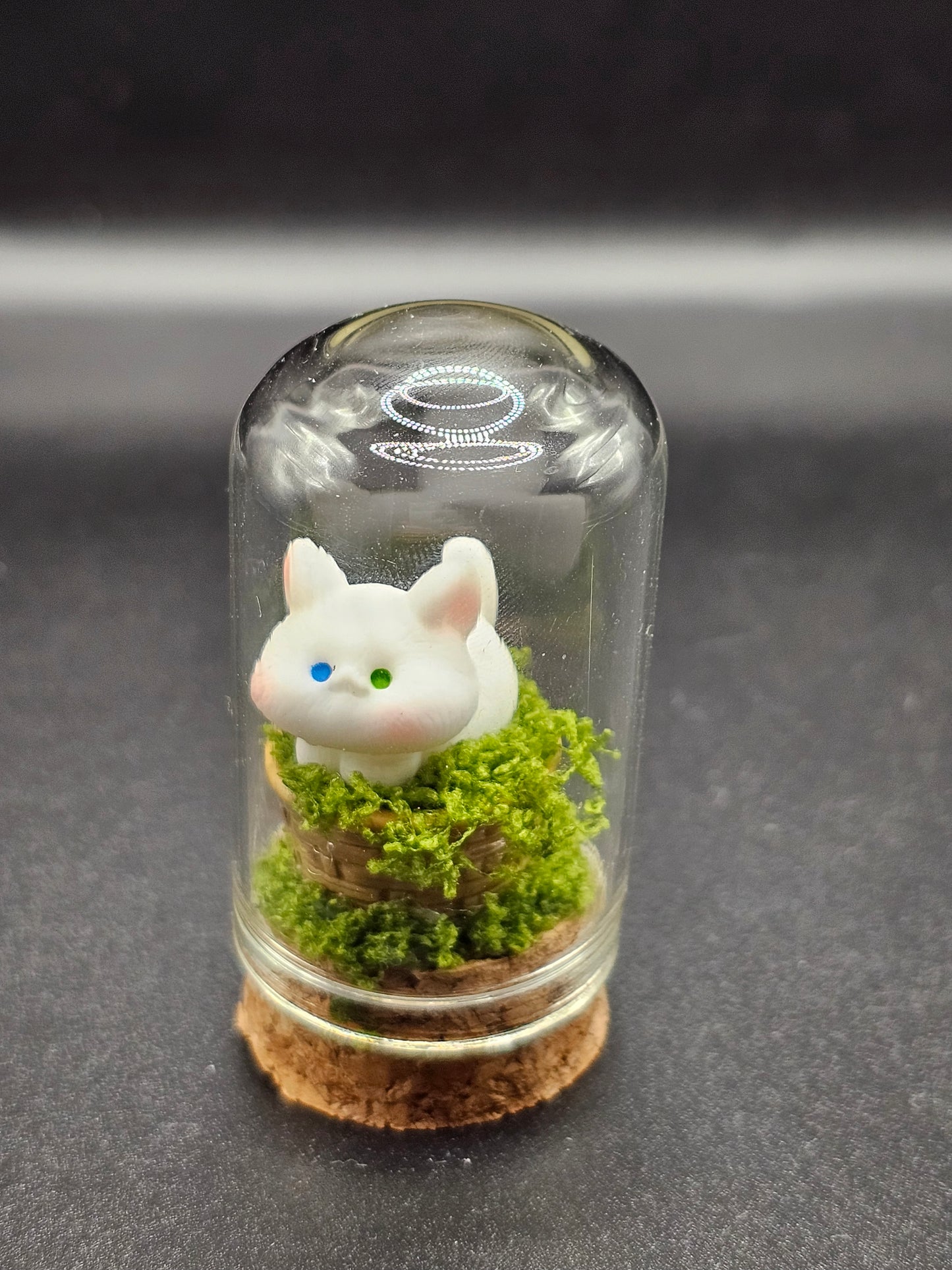 Kitty in a Jar