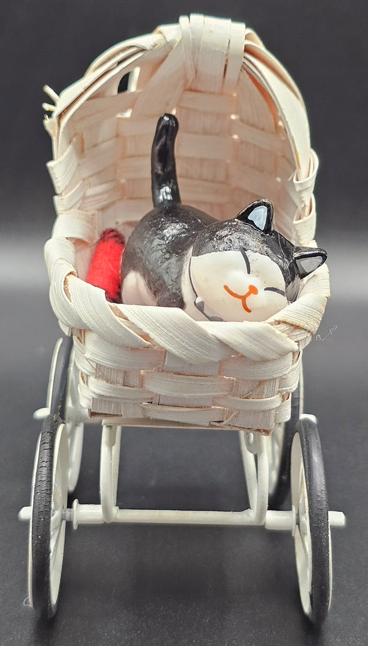 Cats in Carriages