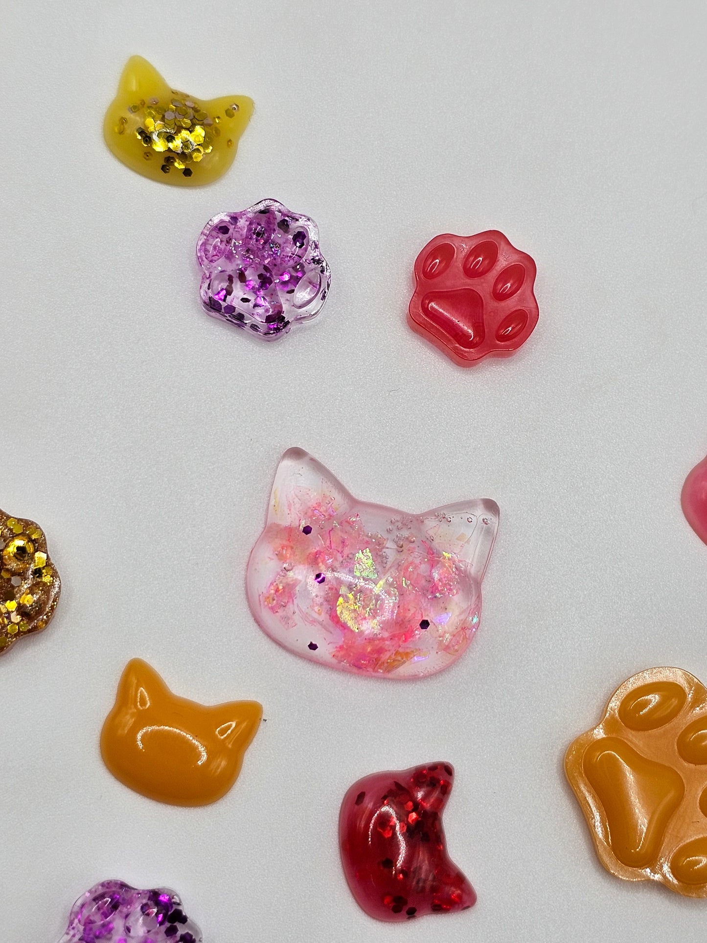 Cats and Paws